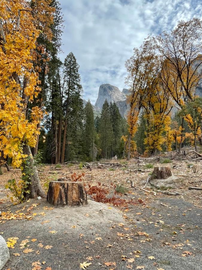 Yosemite Escapes - Pine Mountain Lake Groveland Exterior foto